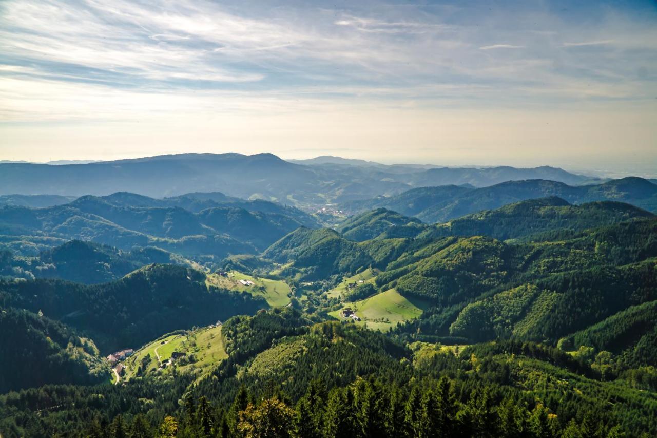 Ferienwohnung 1315 Schluchsee Buitenkant foto